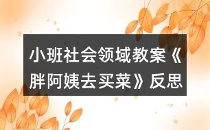 小班社會(huì)領(lǐng)域教案《胖阿姨去買(mǎi)菜》反思