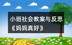 小班社會教案與反思《媽媽真好》