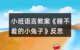 小班語言教案《睡不著的小兔子》反思