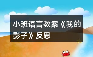 小班語言教案《我的影子》反思