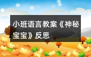 小班語(yǔ)言教案《神秘寶寶》反思