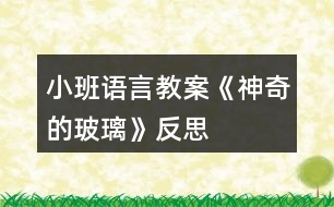 小班語(yǔ)言教案《神奇的玻璃》反思