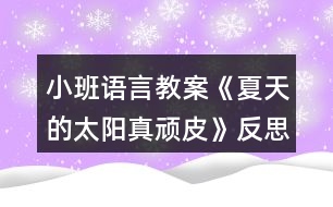 小班語(yǔ)言教案《夏天的太陽(yáng)真頑皮》反思