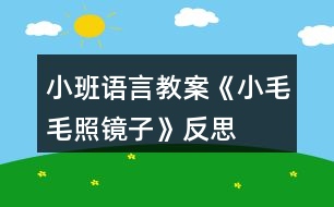 小班語(yǔ)言教案《小毛毛照鏡子》反思