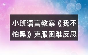 小班語(yǔ)言教案《我不怕黑》克服困難反思