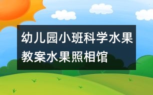 幼兒園小班科學水果教案：水果照相館