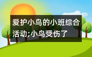 愛(ài)護(hù)小鳥(niǎo)的小班綜合活動(dòng);小鳥(niǎo)受傷了