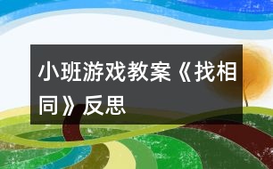 小班游戲教案《找相同》反思