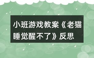 小班游戲教案《老貓睡覺(jué)醒不了》反思