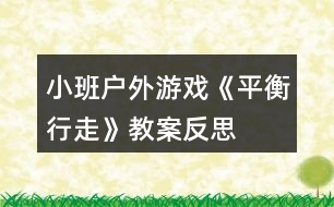 小班戶外游戲《平衡行走》教案反思