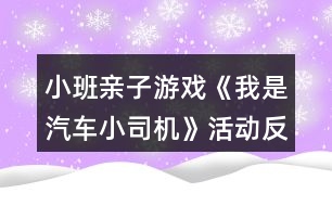 小班親子游戲《我是汽車小司機(jī)》活動(dòng)反思