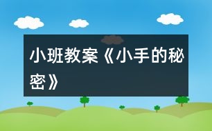 小班教案《小手的秘密》