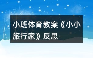 小班體育教案《小小旅行家》反思