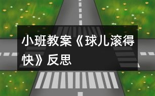 小班教案《球兒滾得快》反思