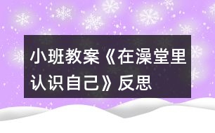 小班教案《在澡堂里認(rèn)識自己》反思