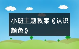 小班主題教案《認(rèn)識(shí)顏色》