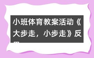 小班體育教案活動《大步走，小步走》反思