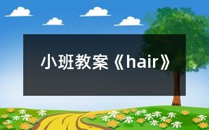 小班教案《hair》