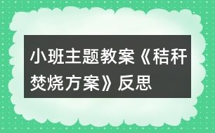 小班主題教案《秸稈焚燒方案》反思