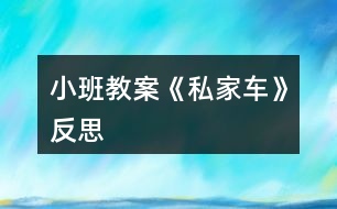 小班教案《私家車》反思