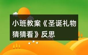 小班教案《圣誕禮物猜猜看》反思