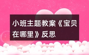 小班主題教案《寶貝在哪里》反思