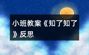 小班教案《知了知了》反思