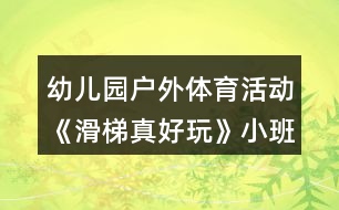 幼兒園戶外體育活動(dòng)《滑梯真好玩》小班活動(dòng)方案反思