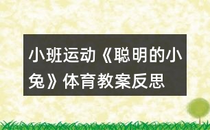 小班運(yùn)動(dòng)《聰明的小兔》體育教案反思