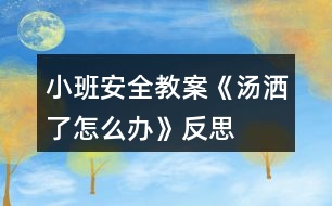 小班安全教案《湯灑了怎么辦》反思