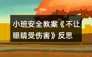 小班安全教案《不讓眼睛受傷害》反思