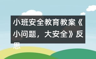 小班安全教育教案《小問題，大安全》反思