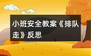 小班安全教案《排隊(duì)走》反思