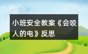 小班安全教案《會(huì)咬人的電》反思