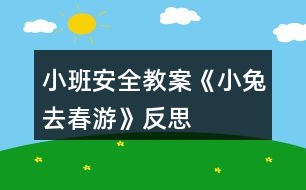 小班安全教案《小兔去春游》反思