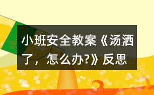 小班安全教案《湯灑了，怎么辦?》反思