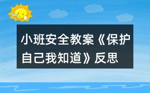 小班安全教案《保護自己我知道》反思