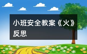 小班安全教案《火》反思