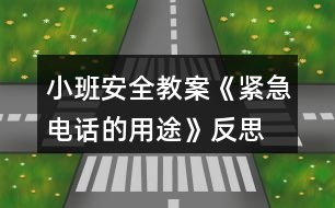 小班安全教案《緊急電話的用途》反思