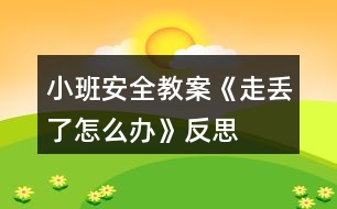 小班安全教案《走丟了怎么辦》反思