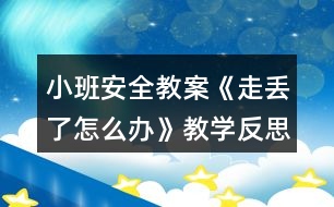 小班安全教案《走丟了怎么辦》教學反思