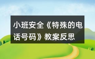 小班安全《特殊的電話號(hào)碼》教案反思