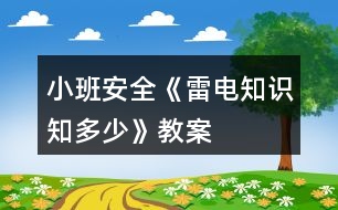 小班安全《雷電知識知多少》教案