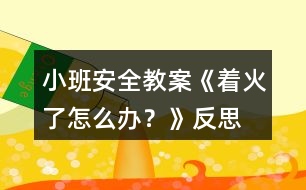 小班安全教案《著火了怎么辦？》反思