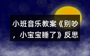 小班音樂教案《別吵，小寶寶睡了》反思