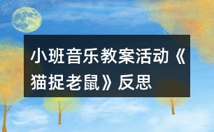 小班音樂教案活動《貓捉老鼠》反思