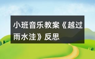 小班音樂教案《越過雨水洼》反思