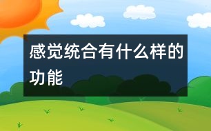 感覺(jué)統(tǒng)合有什么樣的功能