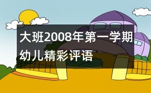 大班2008年第一學期幼兒精彩評語