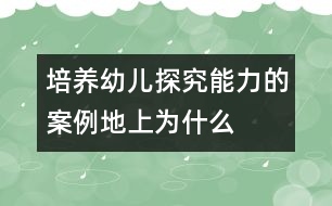 培養(yǎng)幼兒探究能力的案例——地上為什么會(huì)冒煙